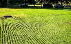 protected ground