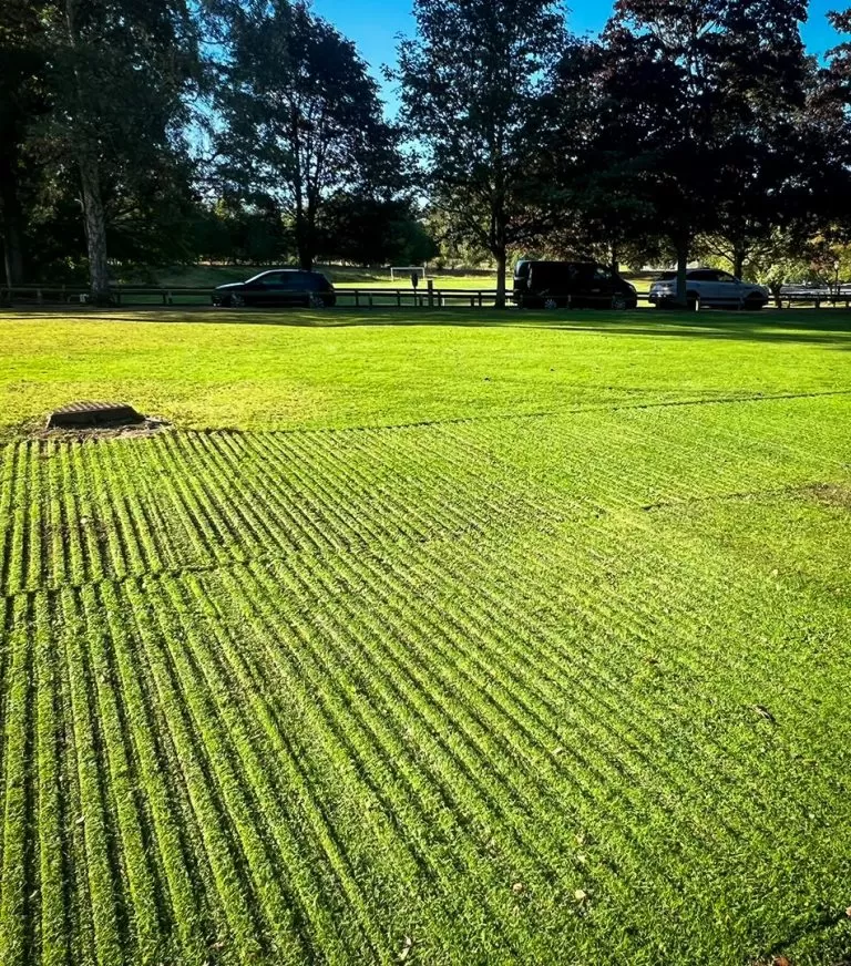 protected ground