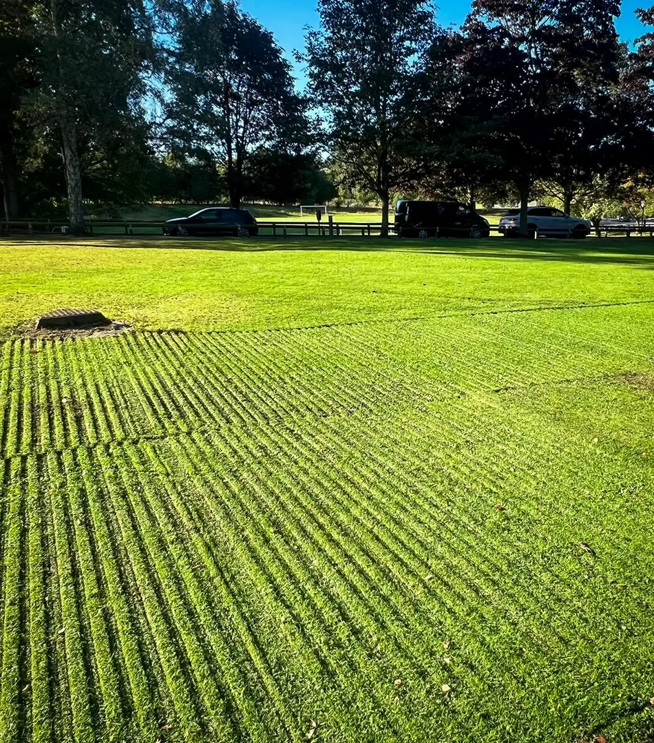 protected ground